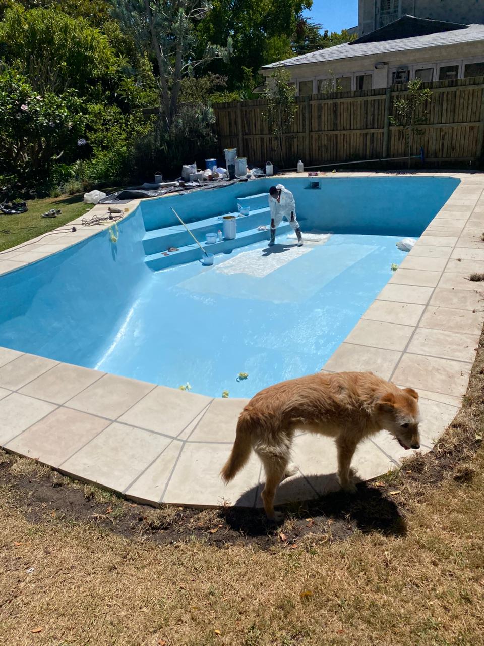 Professional Swimming Pool Renovations & Resurfacing